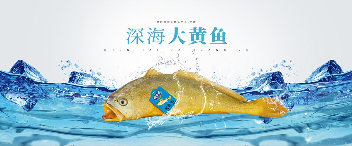 福建福宁港渔业有限公司