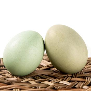 品宜品&nbsp;五谷饲养绿壳蛋初生蛋400g&nbsp;10枚