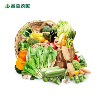 谷宝农匠 【月度套餐】生态有机时蔬新鲜蔬菜礼包宅配组合套餐 6斤/8斤