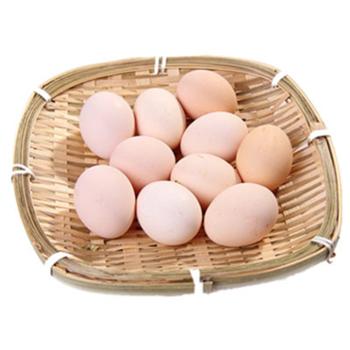 农家散养 五谷土鸡蛋 10枚装（约450g，单枚45-50g）