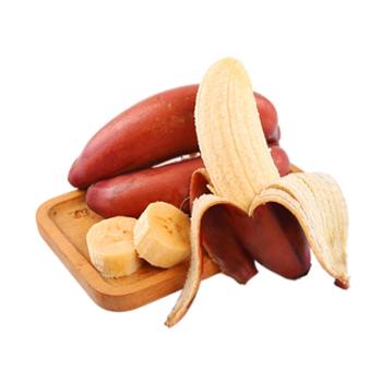楚肴汇 精选红美人蕉 红香蕉 3斤/5斤