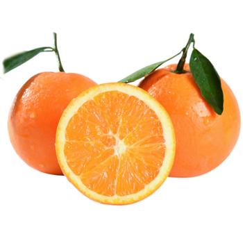 楚肴汇&nbsp;秭归爆汁九月红脐橙&nbsp;多规格