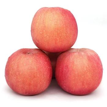 伊果农业 现摘山西运城红富士冰糖心苹果 3斤/5斤/9斤单果果径75mm以上