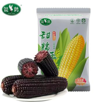 银鹤 东北黑龙江 有机黑糯玉米 ≥260g*2穗 真空锁鲜 双层包装