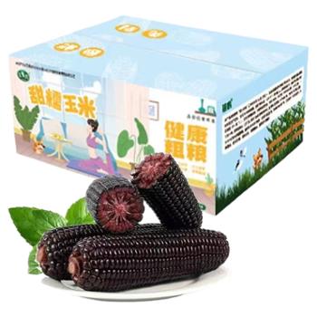 银鹤 东北黑龙江 有机黑糯玉米 家庭装 ≥260g*8穗/10穗/箱 真空锁鲜 彩箱装
