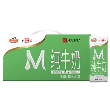 遵义 贵州纯牛奶 250ml*12