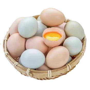 萨达&nbsp;农家散养土鸡蛋绿壳蛋&nbsp;100枚-120枚装&nbsp;营养美味