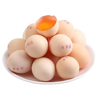 萨达 原生态虫草蛋 30枚50枚/箱 单枚均重50g 珍珠棉防护装