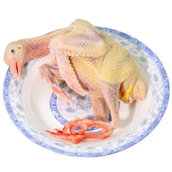 密水农家&nbsp;乳鸽&nbsp;鲜杀鸽子&nbsp;煲汤土鸽子肉&nbsp;鸽子2只/1.6斤