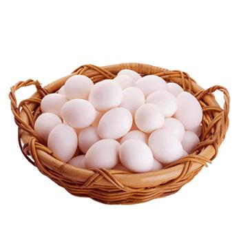 悠源 顺丰包邮 新鲜鸽子蛋杂粮喂养孕妇宝宝宜 单枚约20g/10枚/30枚/50枚
