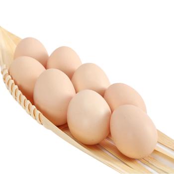 慧生活&nbsp;初生鸡蛋单枚35-40克&nbsp;10枚装