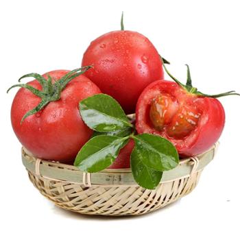 沔禾甄选 现摘普罗旺斯西红柿 带箱五斤装 净重4.7斤左右