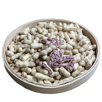 沔禾甄选 闽西特产龙岩带壳水煮花生白晒咸干花生 500g