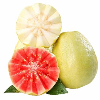 稻菽园 奶油芭乐+红心芭乐双拼树上熟番石榴 净重4.5-5斤（约9-13个左右）