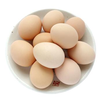 夔安山野&nbsp;新鲜现捡现发散养&nbsp;鸡蛋10-40枚&nbsp;单枚45g左右