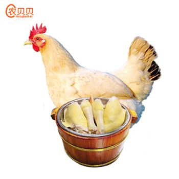 庞小斌 农贝贝飞禽水蒸鸡熟食鸡肉约800g 1只/箱
