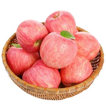 土八鲜 山东烟台红富士苹果新鲜水果苹果 5斤 中果 单果150g左右
