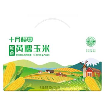 十月稻田 鲜食玉米 2.2kg