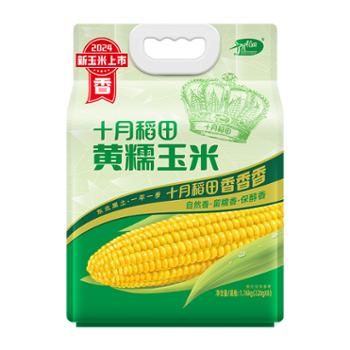 十月稻田 黄糯玉米 糯玉米棒 1.76kg