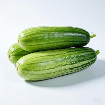 桂乡水滴 广西毛节瓜蔬菜 小冬瓜 新鲜采摘 蔬菜基地直发 净重4.6斤-4.8斤